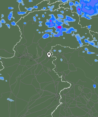 Валежи