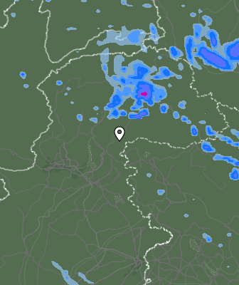 Валежи