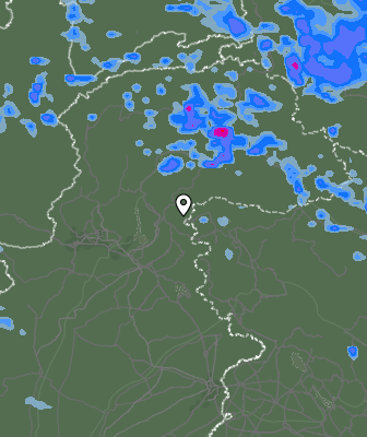 Валежи