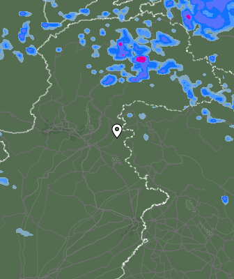 Валежи