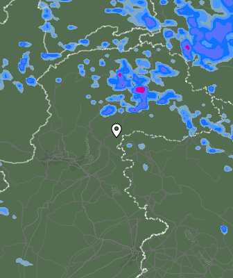Валежи
