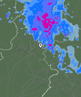 Валежи