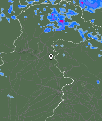 Валежи