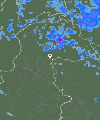 Валежи