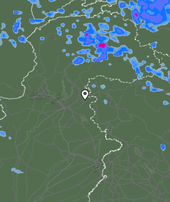 Валежи