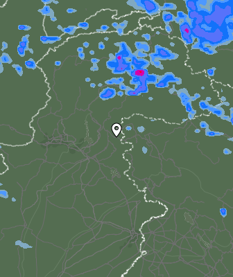 Валежи