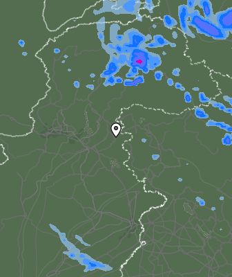 Валежи