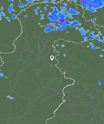 Валежи