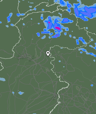 Валежи