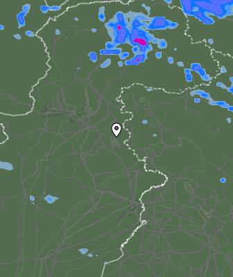 Валежи