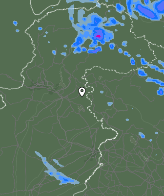 Валежи