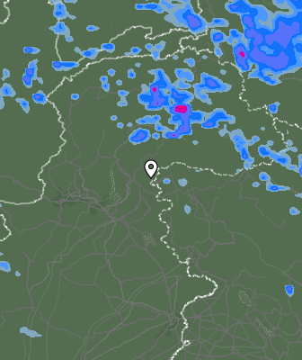 Валежи