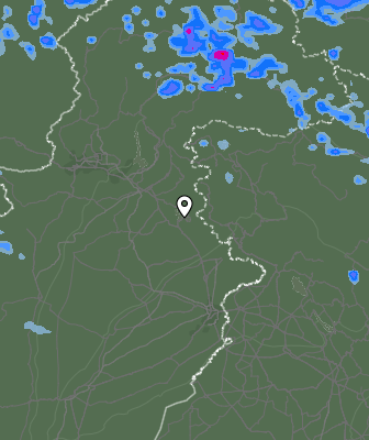 Валежи