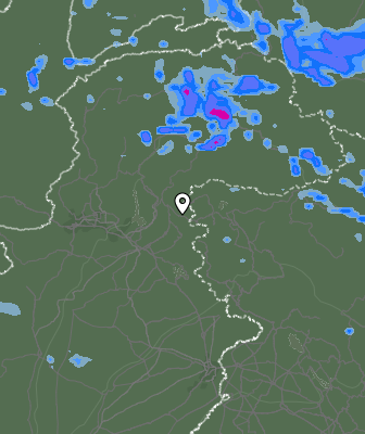 Валежи