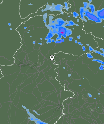 Валежи