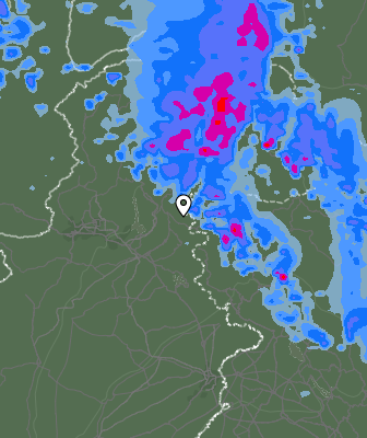 Валежи