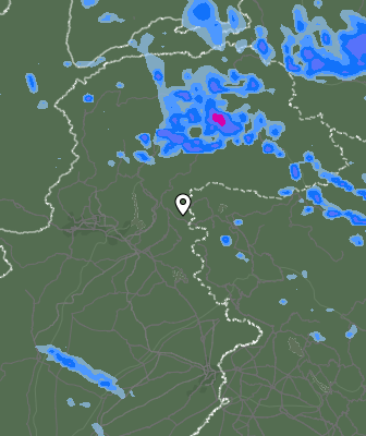 Валежи