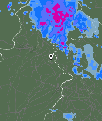 Валежи