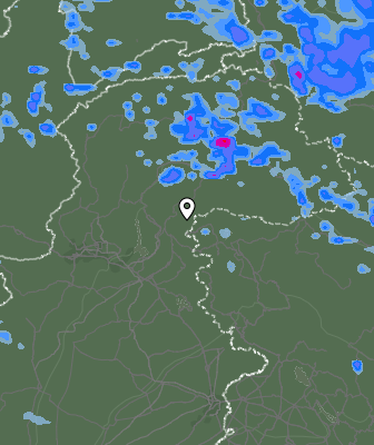 Валежи