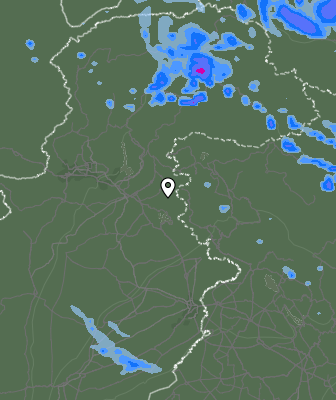Валежи