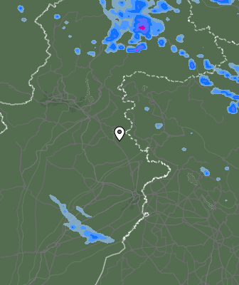 Валежи