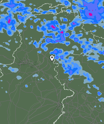 Валежи