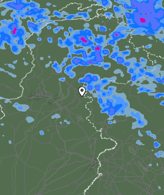 Валежи