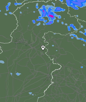 Валежи