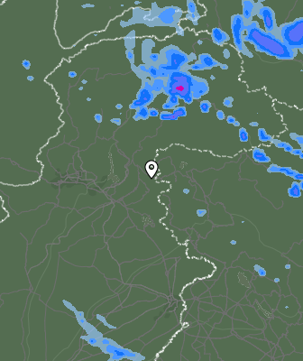 Валежи
