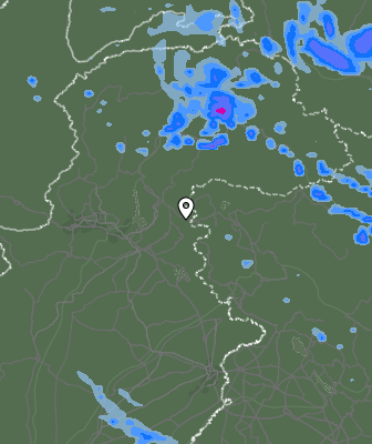 Валежи