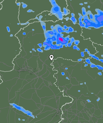 Валежи