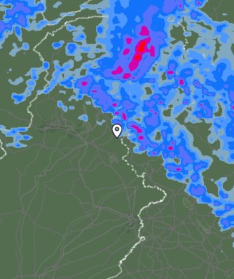 Валежи