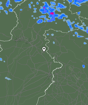 Валежи