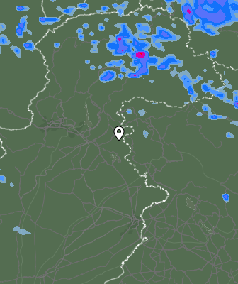 Валежи