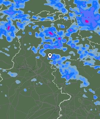 Валежи