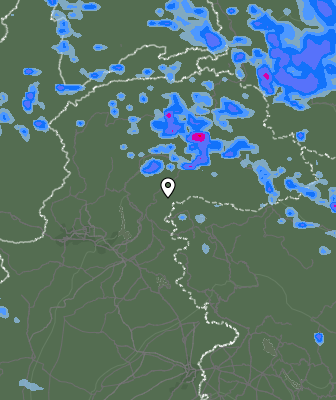 Валежи