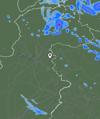 Валежи