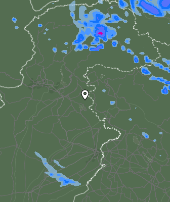 Валежи