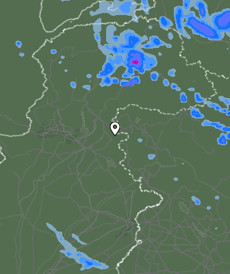 Валежи
