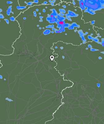 Валежи