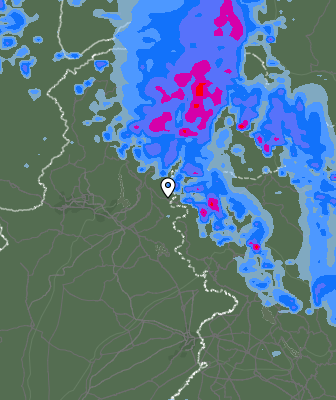 Валежи