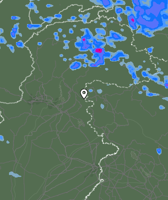 Валежи