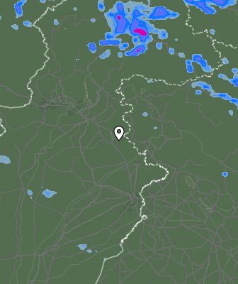 Валежи