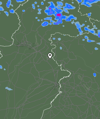 Валежи
