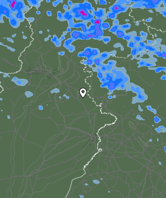 Валежи