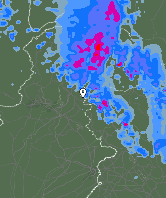 Валежи