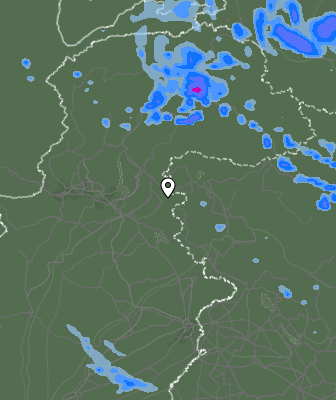 Валежи