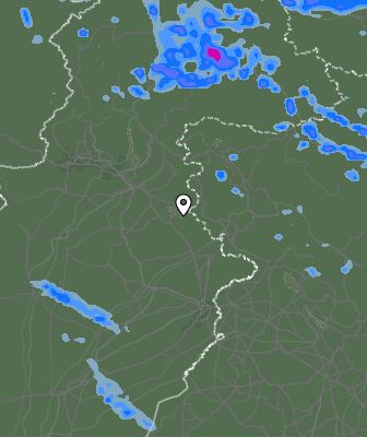 Валежи