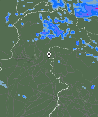 Валежи