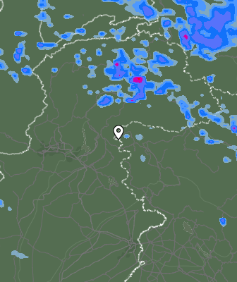 Валежи